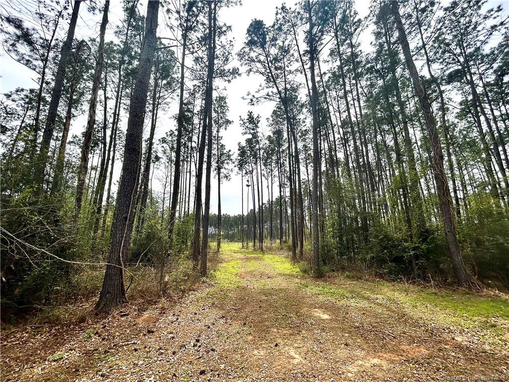 0 Fish Hole Loop Merryville, LA 70653 - Photo 2 of 7 Gallery Image 2