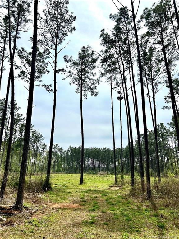 0 Fish Hole Loop Merryville, LA 70653 - Photo 3 of 7 Gallery Image 3