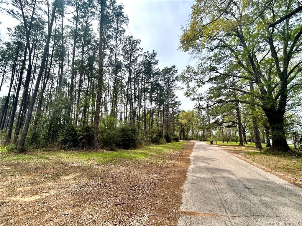 0 Fish Hole Loop Merryville, LA 70653 - Photo 6 of 7 Gallery Image 6