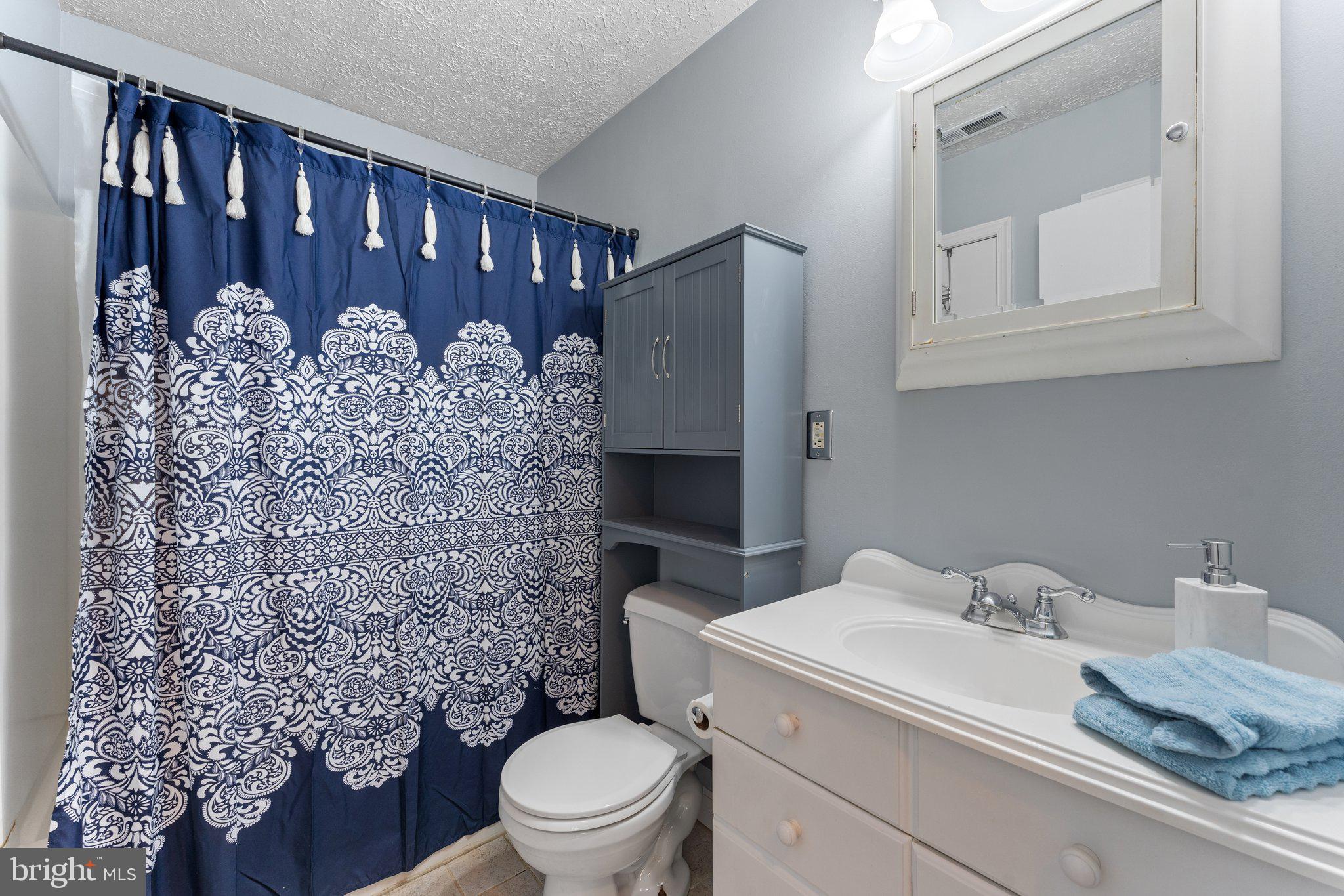 17516 Mountain Track Road Orange, VA 22960 - Photo 22 of 49 Gallery Image 22