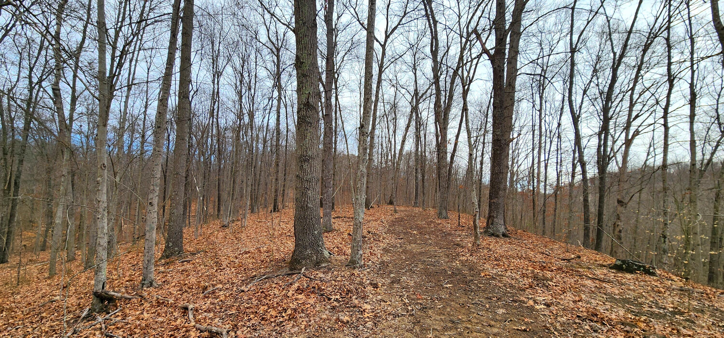 0 Edmundson Road, Unit TRACT 4 AT BIG TIMBER) Vinton, OH 45686 - Photo 62 of 67 20250307_120225