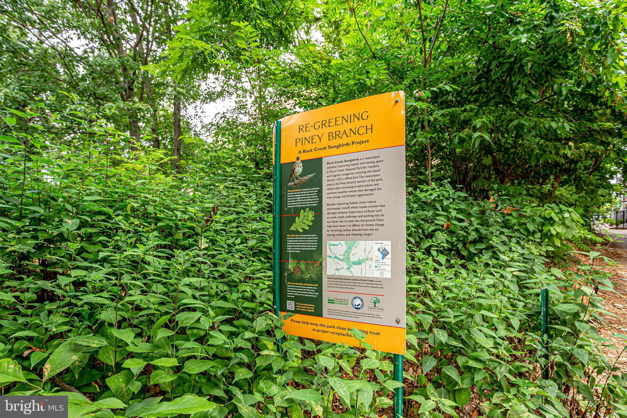 1437 Spring Road Northwest, Unit 21 Washington, DC 20010 - Photo 27 of 28 Preservation Area