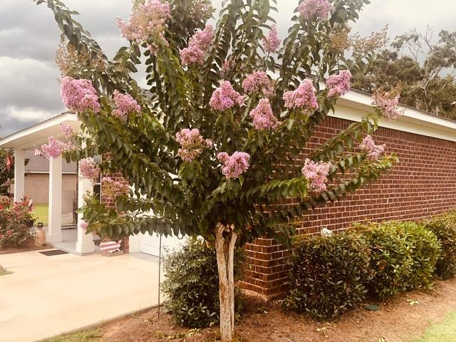 16099 Alabama Avenue Silverhill, AL 36576 - Photo 5 of 28