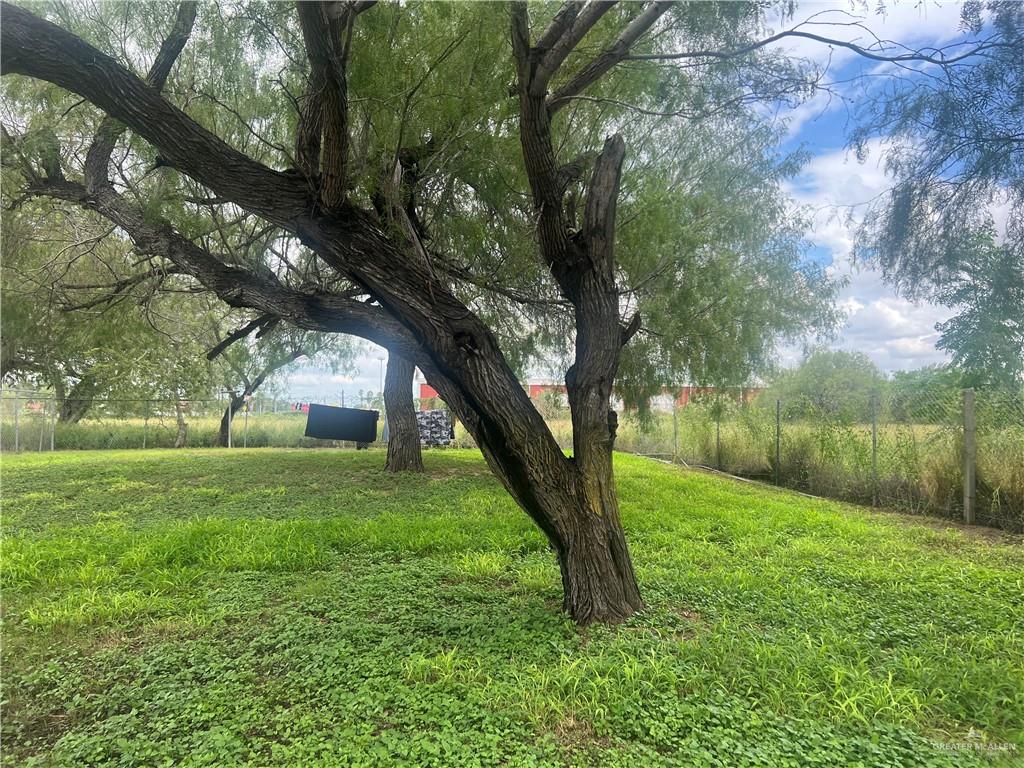 5020 La Homa Road Mission, TX 78574 - Photo 5 of 28 a view of a yard with a tree