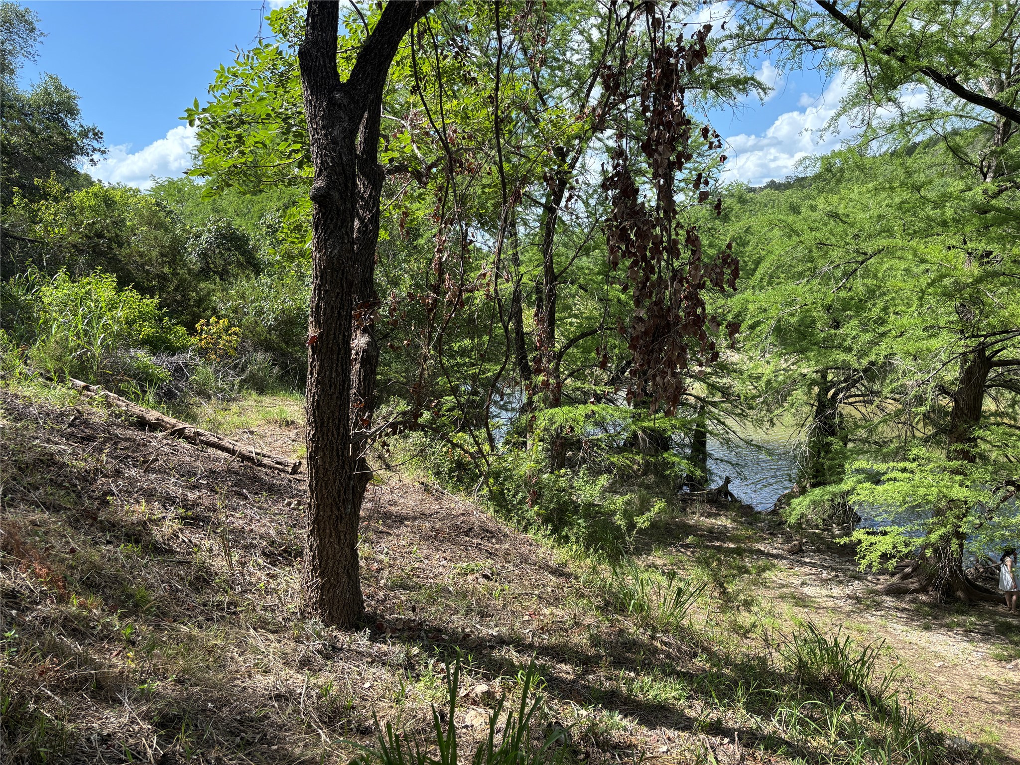 172 Bluff Trail Dripping Springs, TX 78620 - Photo 15 of 40