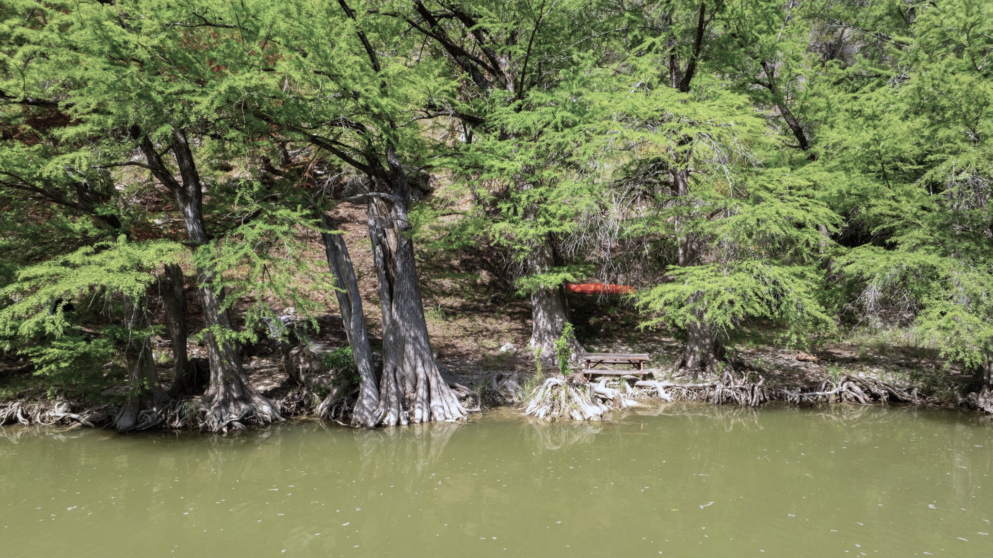 172 Bluff Trail Dripping Springs, TX 78620 - Photo 18 of 40 a view of a lake with houses