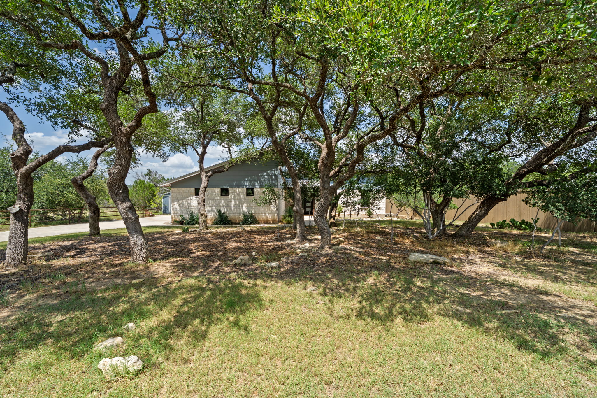 172 Bluff Trail Dripping Springs, TX 78620 - Photo 2 of 40 a view of a yard with plants and trees