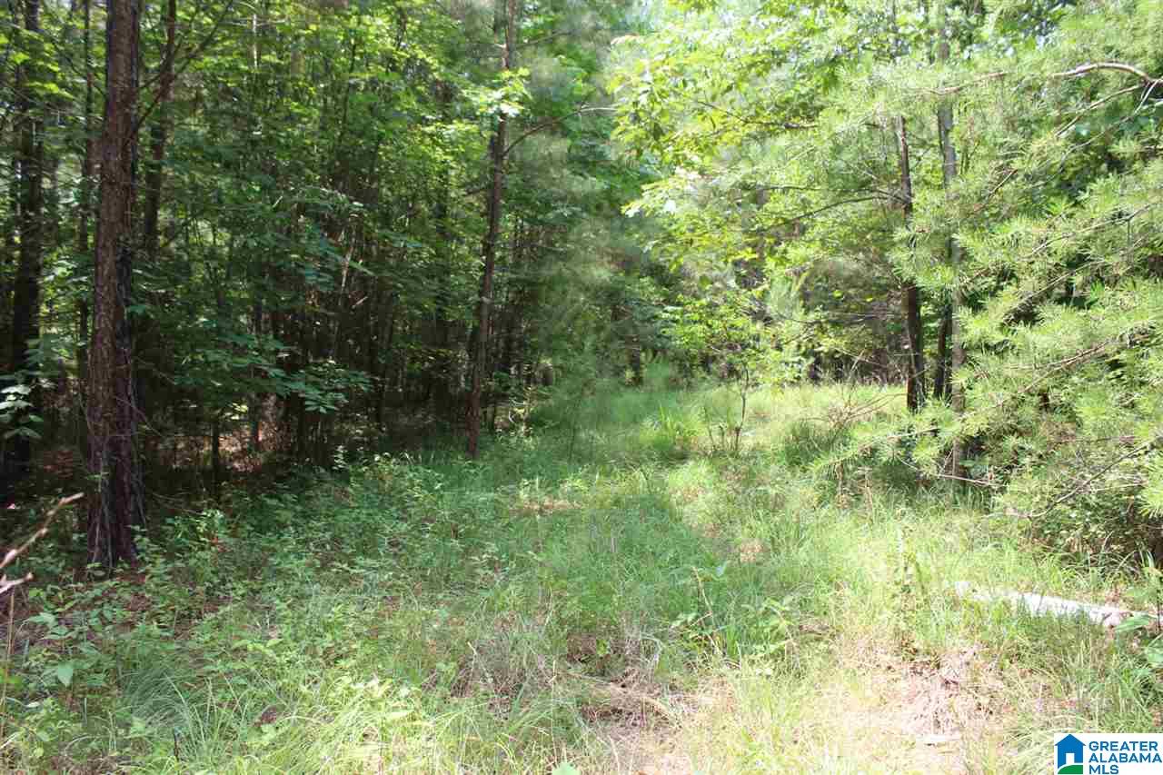 Jeep Trail Quinton, AL 35130 - Photo 1 of 1