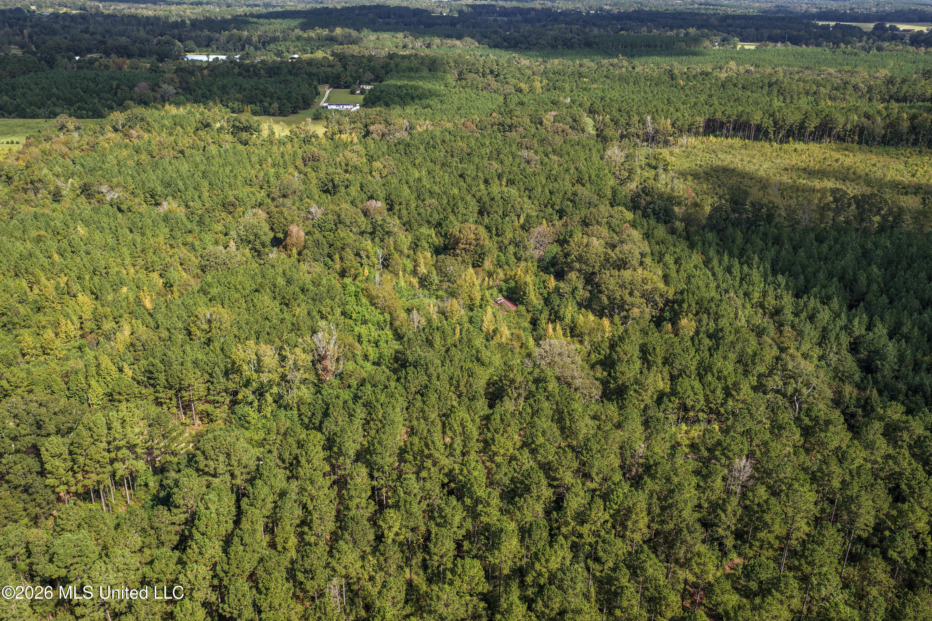 Allen Lane Magnolia, MS 39652 - Photo 20 of 21 DJI_20261002105418_0152_D