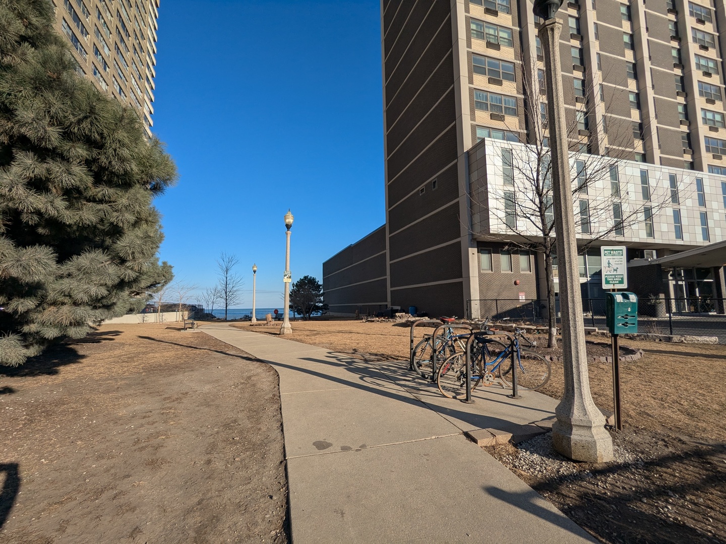 6171 North Sheridan Road, Unit 1408 Chicago, IL 60660 - Photo 23 of 24 a building with trees in front of it