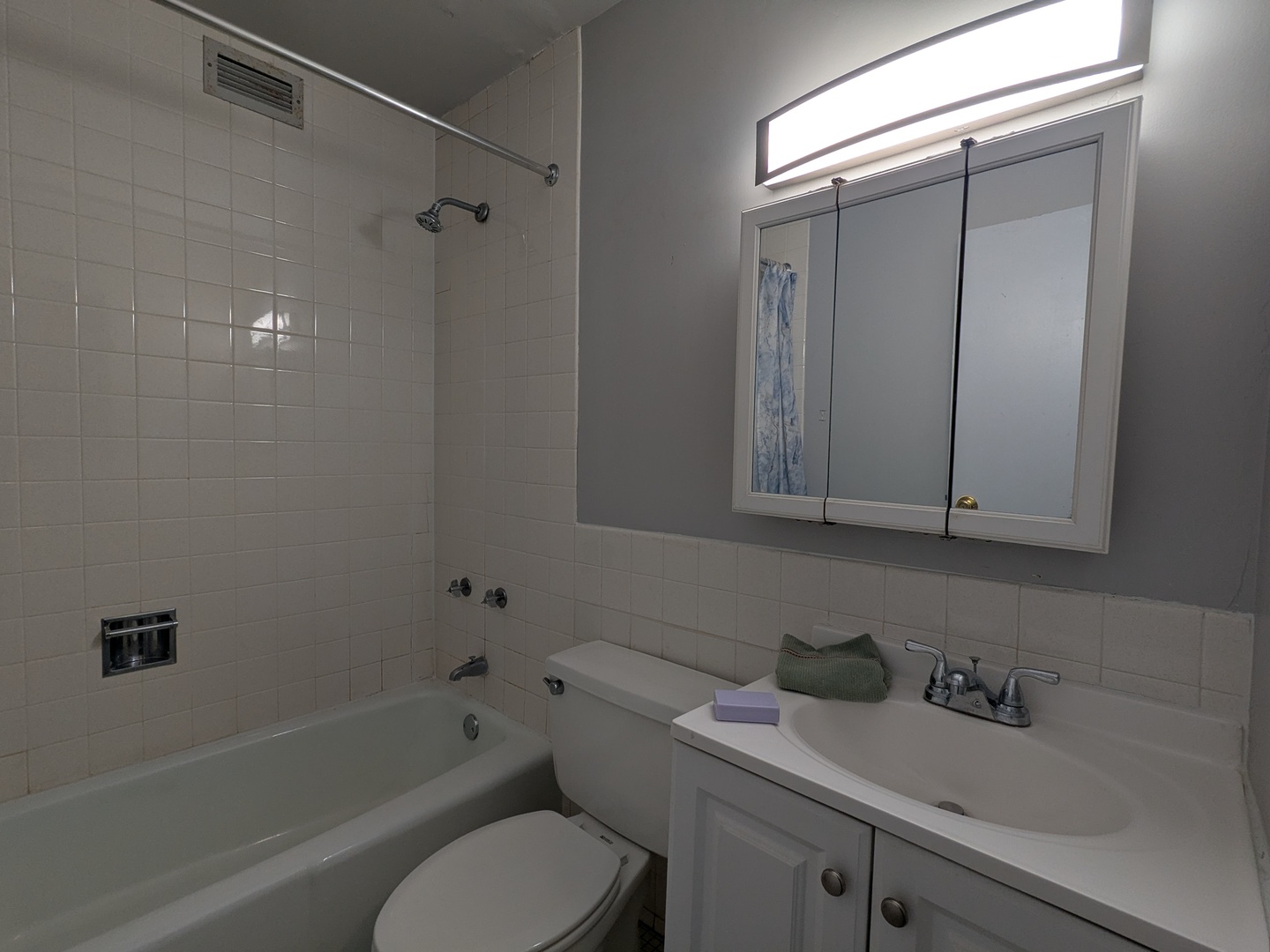 6171 North Sheridan Road, Unit 1408 Chicago, IL 60660 - Photo 10 of 24 a bathroom with a sink a toilet and shower