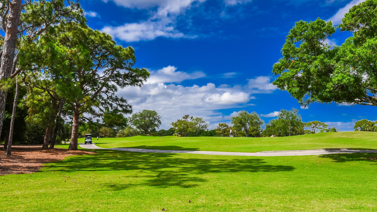 3510 Southeast Cambridge Drive Stuart, FL 34997 - Photo 12 of 54 a view of a golf course with a garden