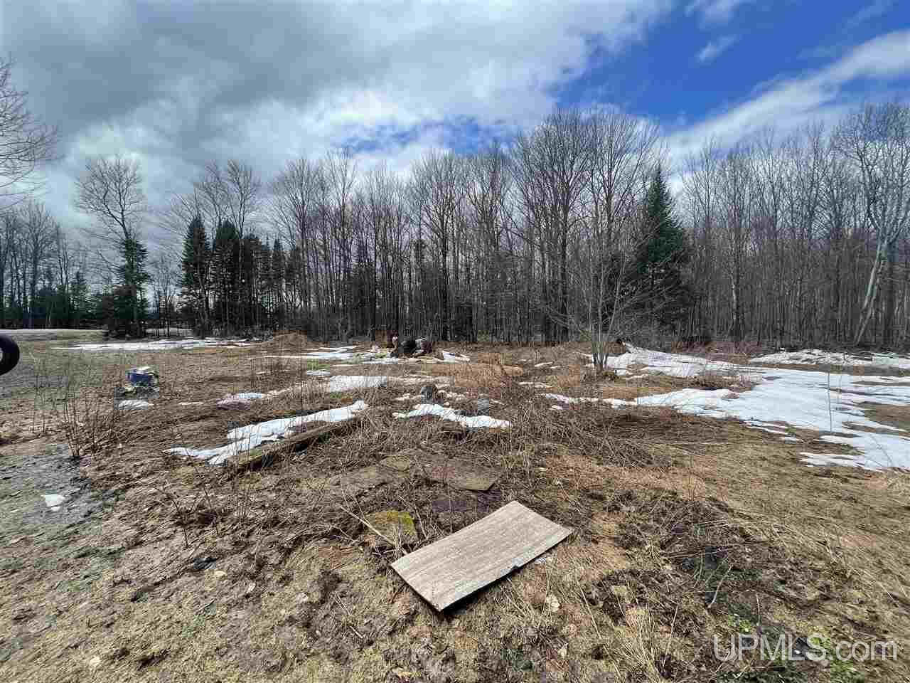 E3416 Co Road Trenary, MI 49891 - Photo 9 of 12