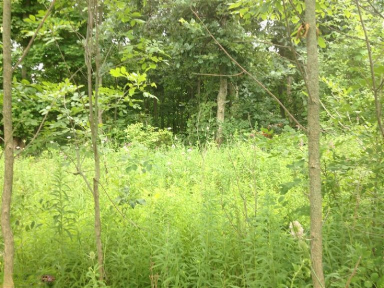 Stickles Road Three Oaks, MI 49128 - Photo 1 of 1 Primary Photo