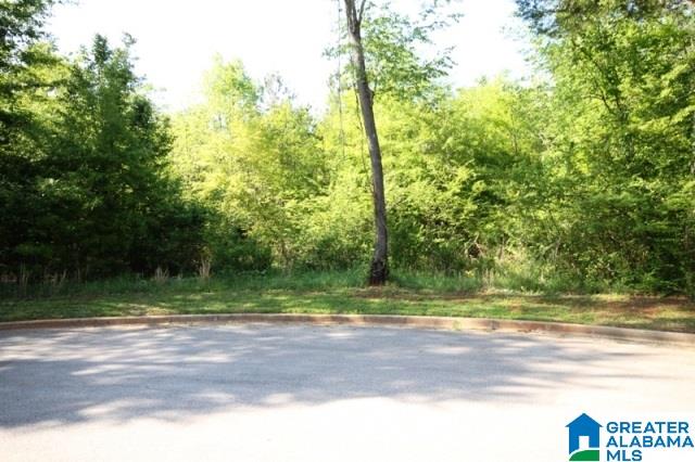 0 Almaroad Place Southwest, Unit 107 Jacksonville, AL 36265 - Photo 23 of 31