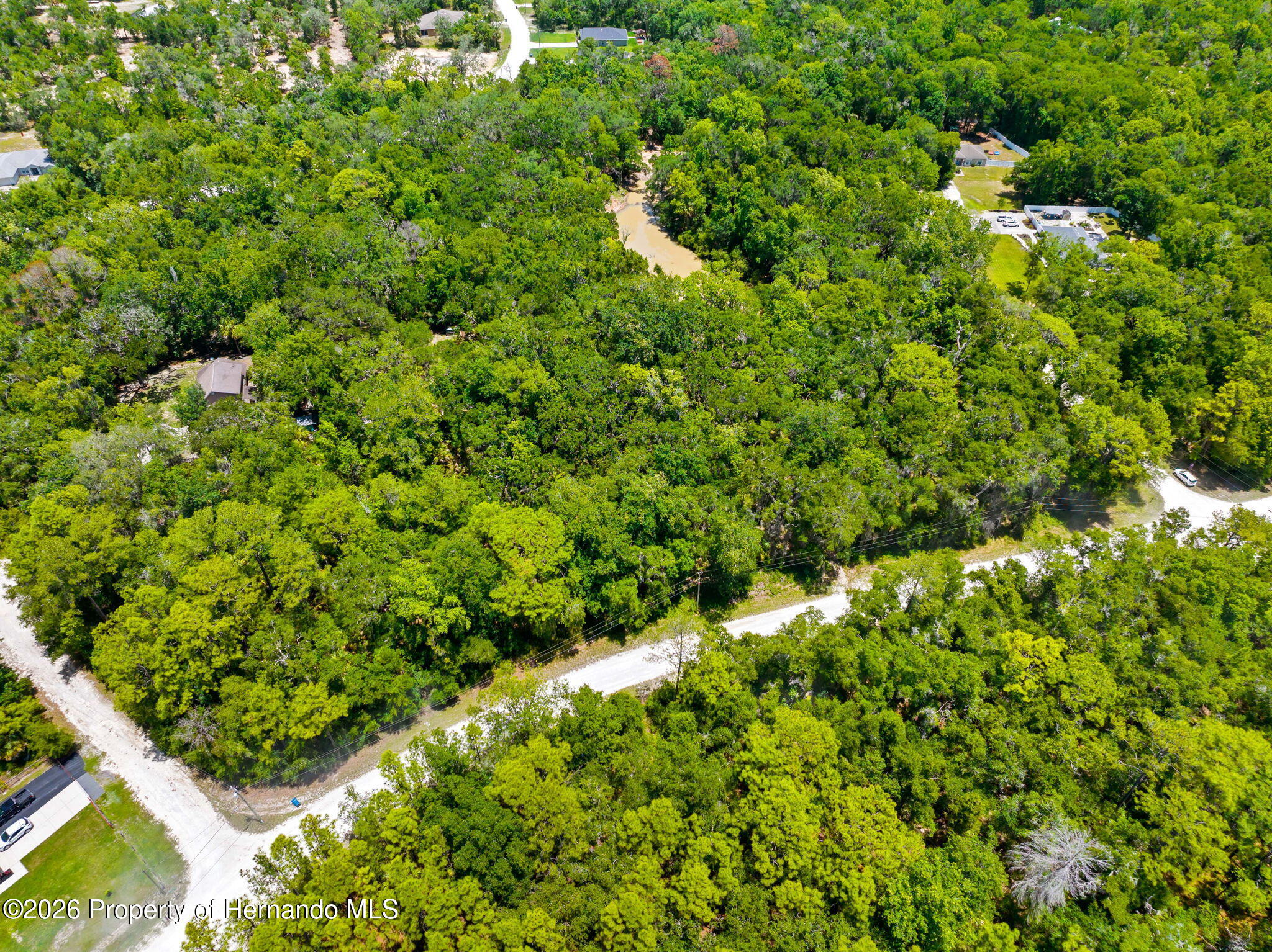 0 Ricebird Avenue Weeki Wachee, FL 34614 - Photo 10 of 26