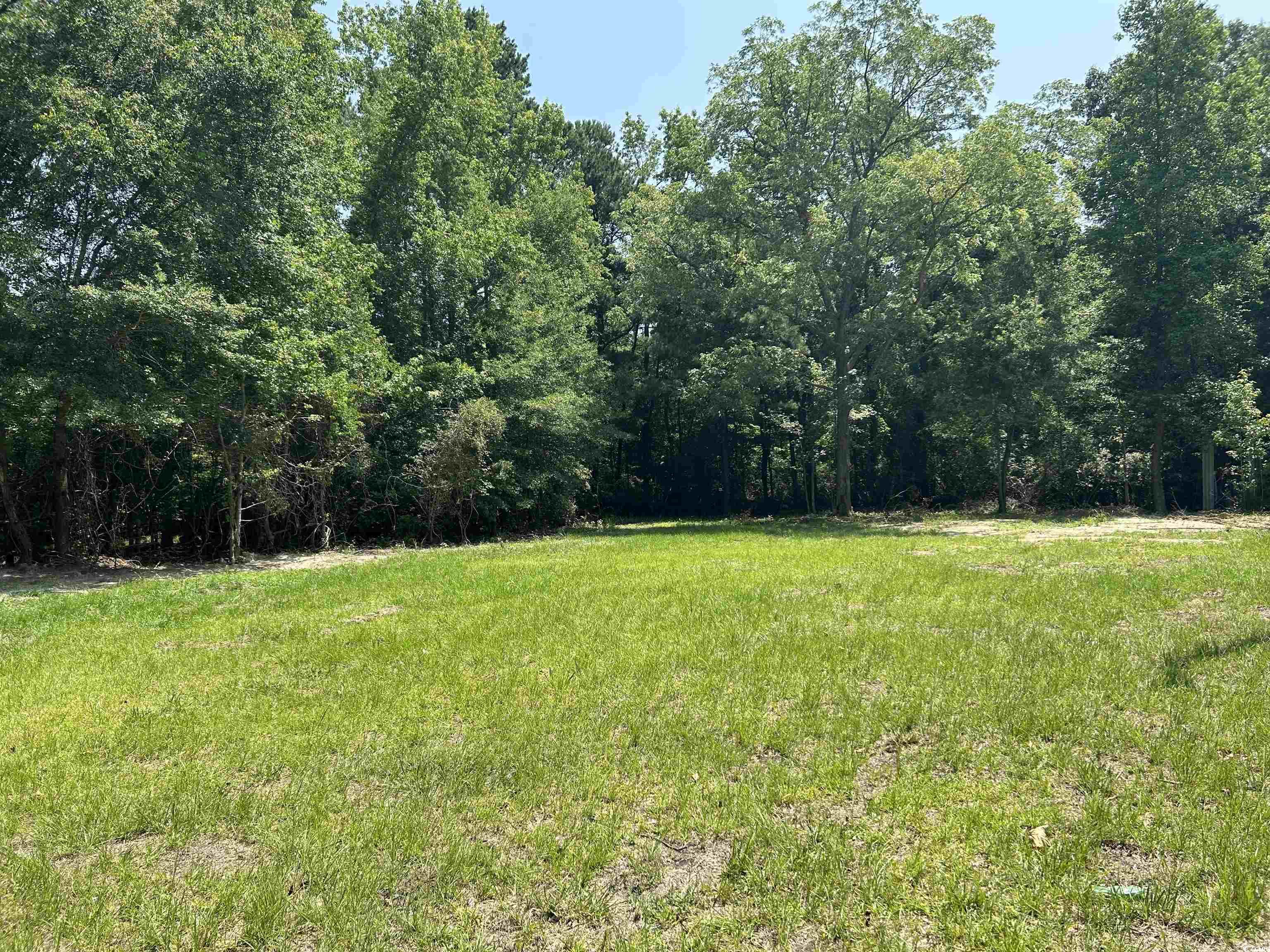 7462 Friendfield Road Effingham, SC 29541 - Photo 16 of 23 Gallery Image 16