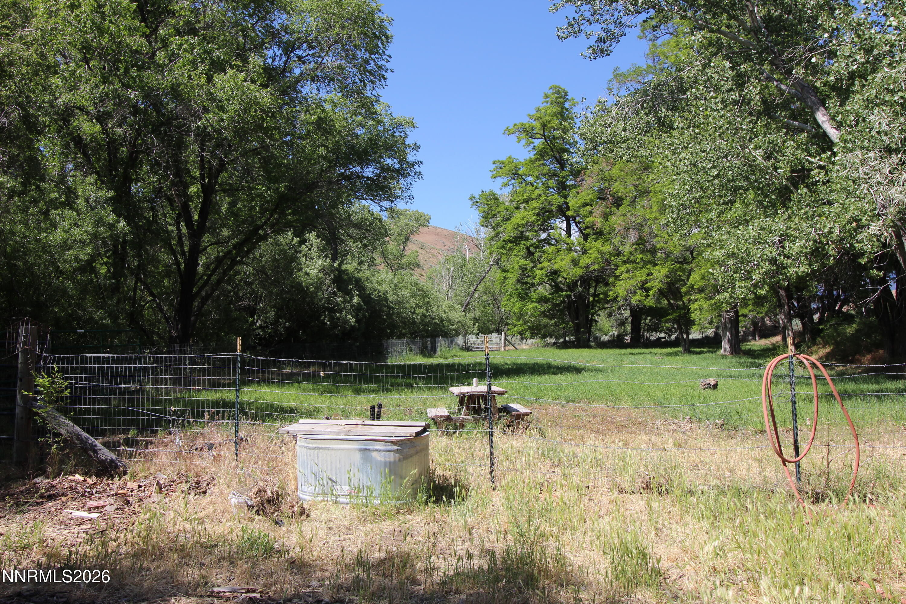 120 Andrew Lane Reno, NV 89521 - Photo 51 of 59 Pasture