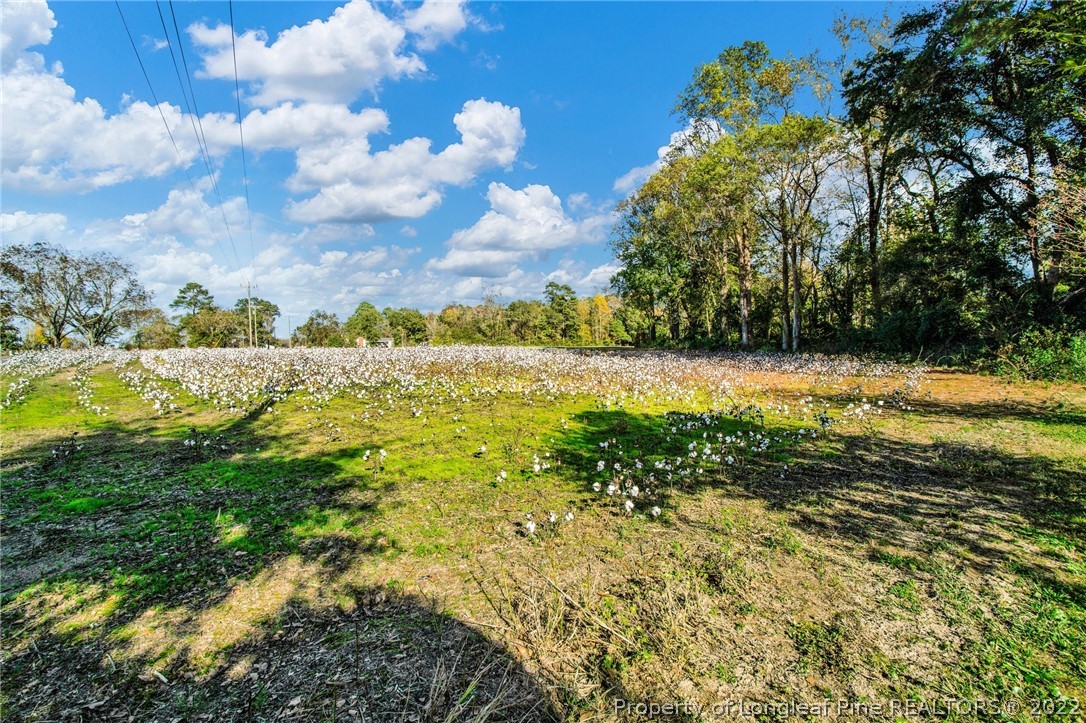 6474 Sisk Culbreth Road Godwin, NC 28344 - Photo 23 of 23 a view of yard with green space
