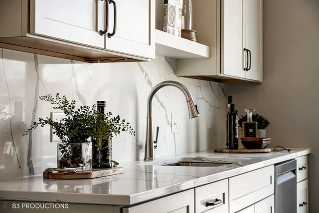 a closeup sink with a potted plant