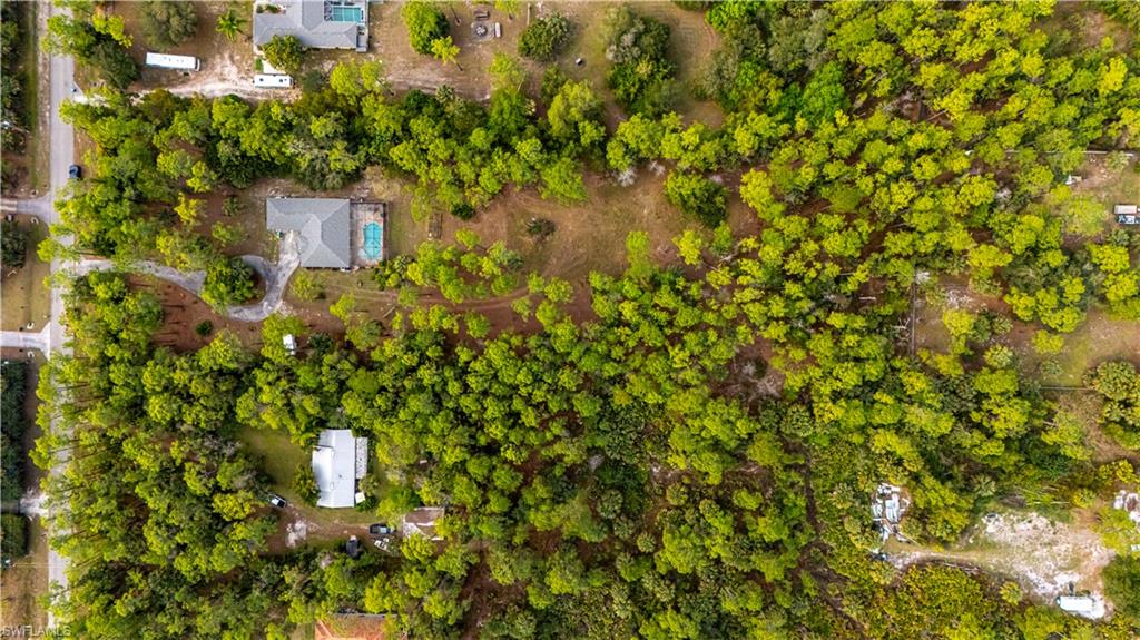 4065 10th Avenue Southeast Naples, FL 34117 - Photo 30 of 32 a picture of a tree