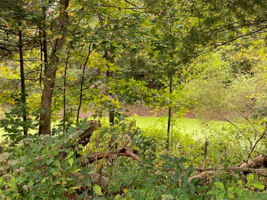 120 Bush Road Spencer, IN 47460 - Photo 26 of 49 Gallery Image 26