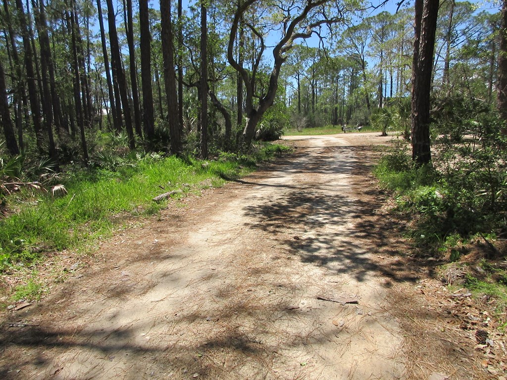 1252 Angus Morrison Road Alligator Point, FL 32346 - Photo 4 of 6 Gallery Image 4