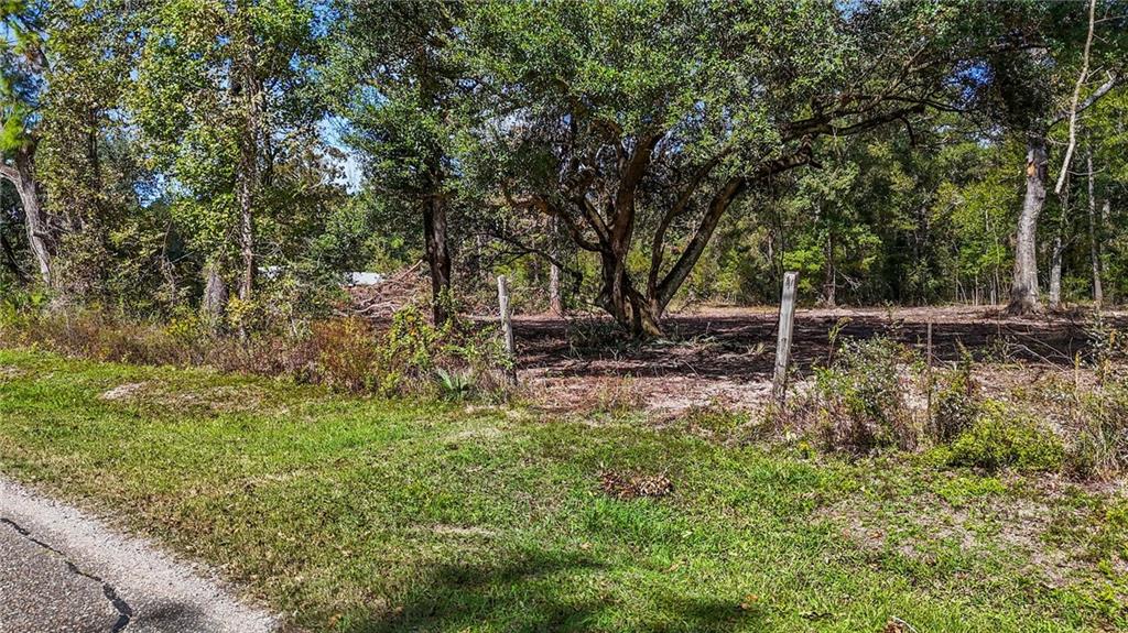 0 Bennett Road Holden, LA 70744 - Photo 6 of 13
