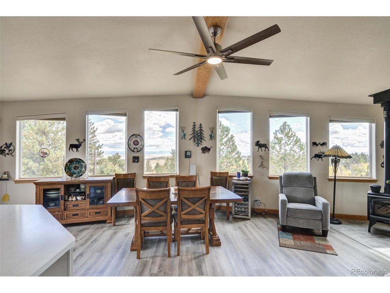 3480 Singletree Road Hartsel, CO 80449 - Photo 19 of 50 Incredible Views