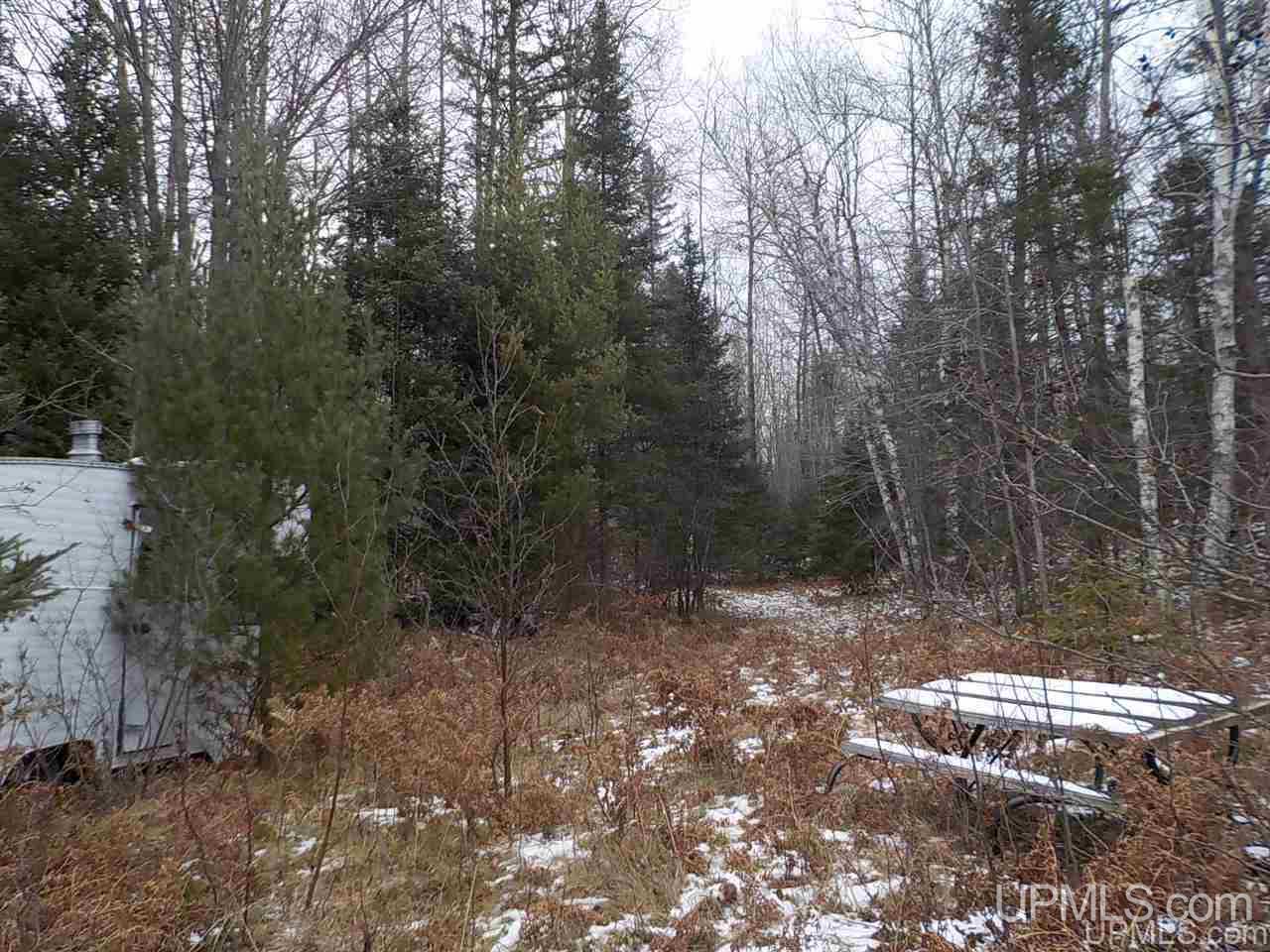 40-ac Lind Road Crystal Falls, MI 49920 - Photo 19 of 24