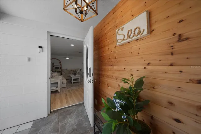 a view of potted plant in front of door