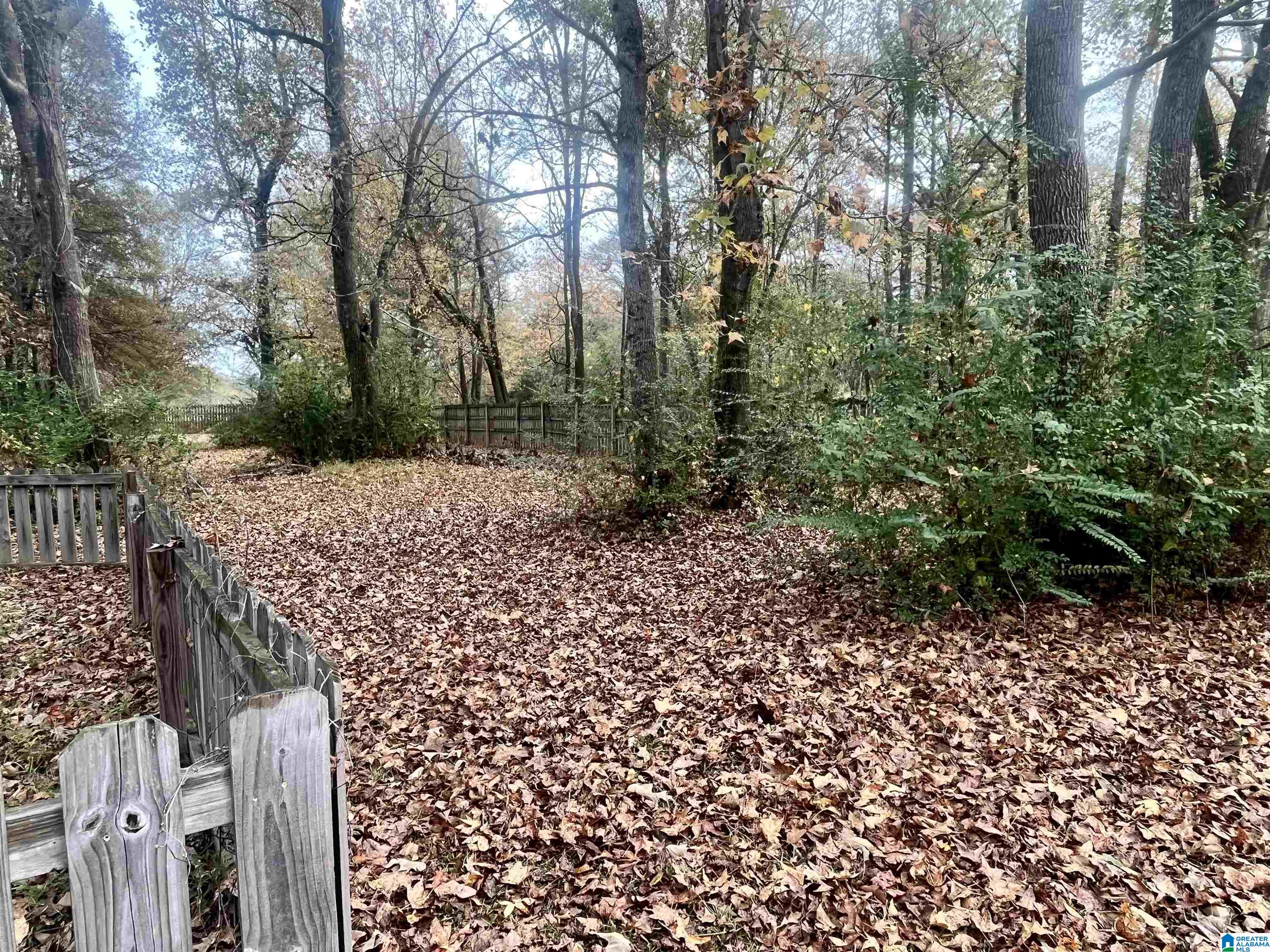 1010 Campbell Road Munford, AL 36268 - Photo 44 of 56