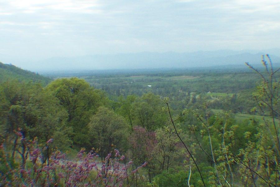 view from house