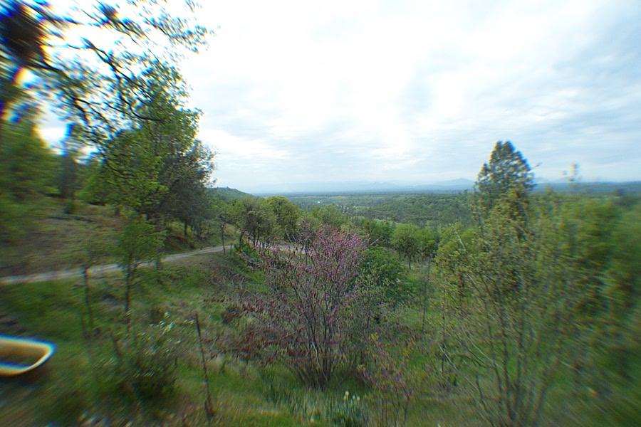 29464 Big Spring Road Whitmore, CA 96096 - Photo 17 of 36 veiw from 3 bedroom