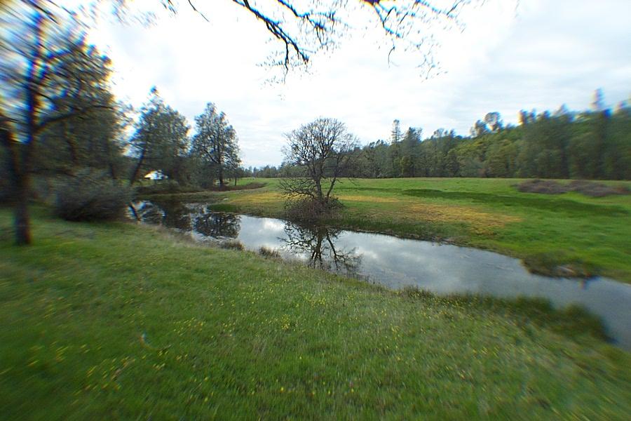 seasonal pond