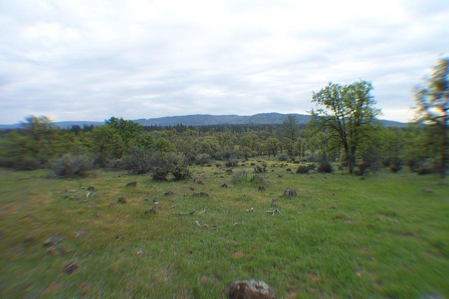 29464 Big Spring Road Whitmore, CA 96096 - Photo 21 of 36 3