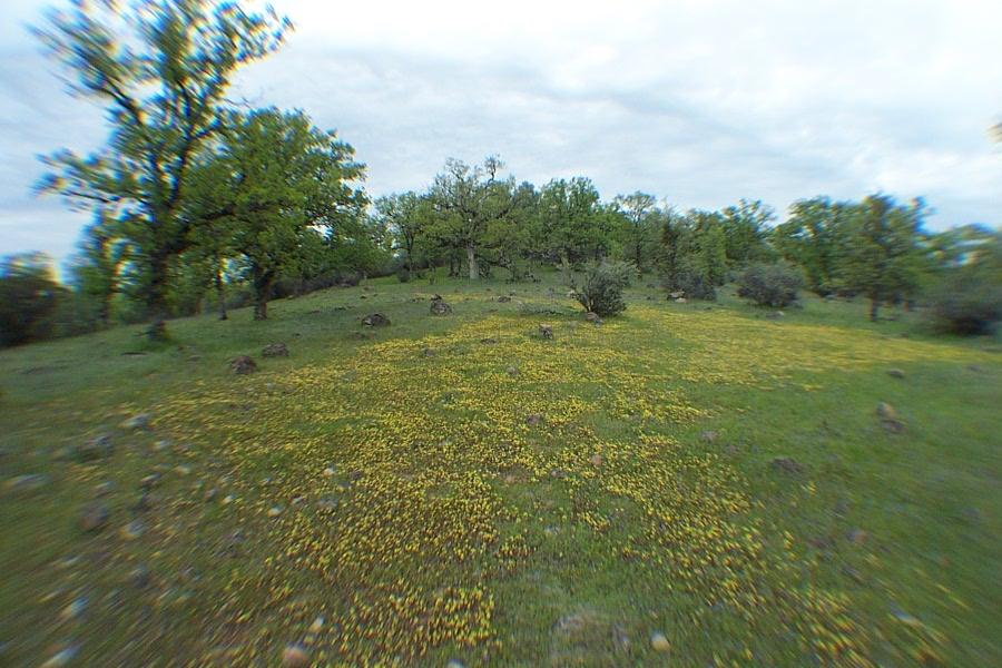 29464 Big Spring Road Whitmore, CA 96096 - Photo 23 of 36 building site , 360 degree views