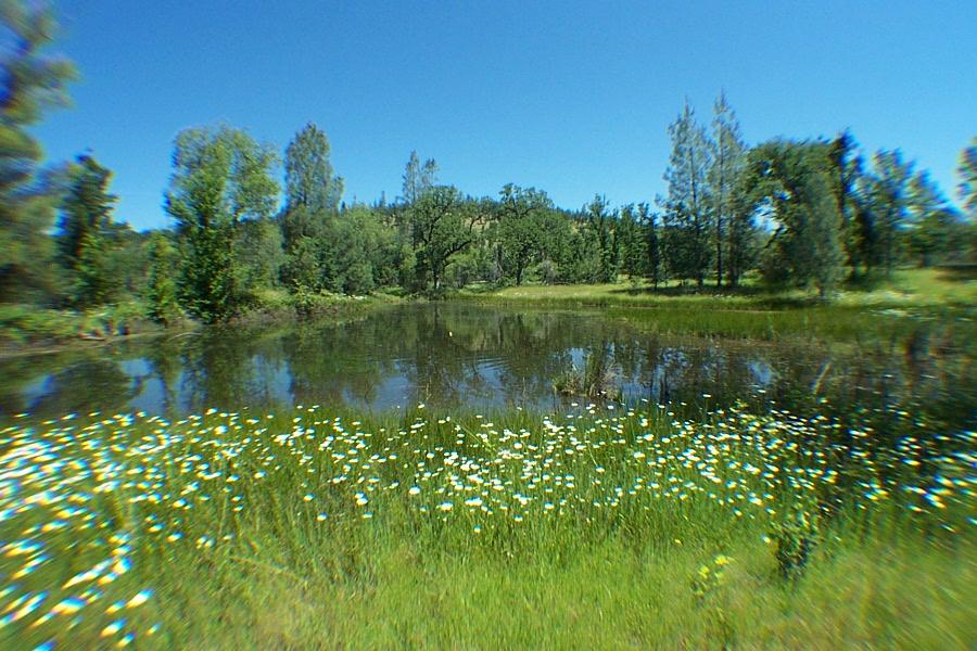 29464 Big Spring Road Whitmore, CA 96096 - Photo 34 of 36 pond