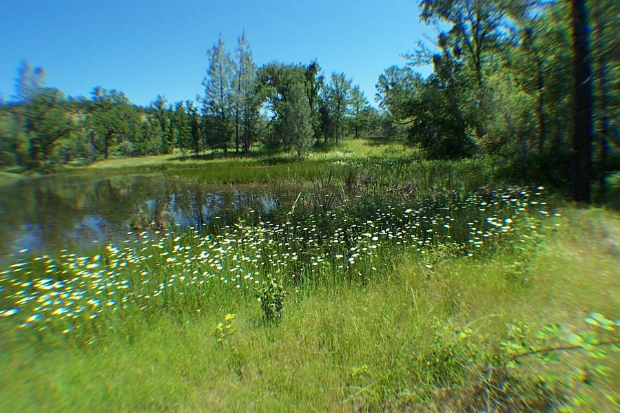 29464 Big Spring Road Whitmore, CA 96096 - Photo 36 of 36 2nd pond