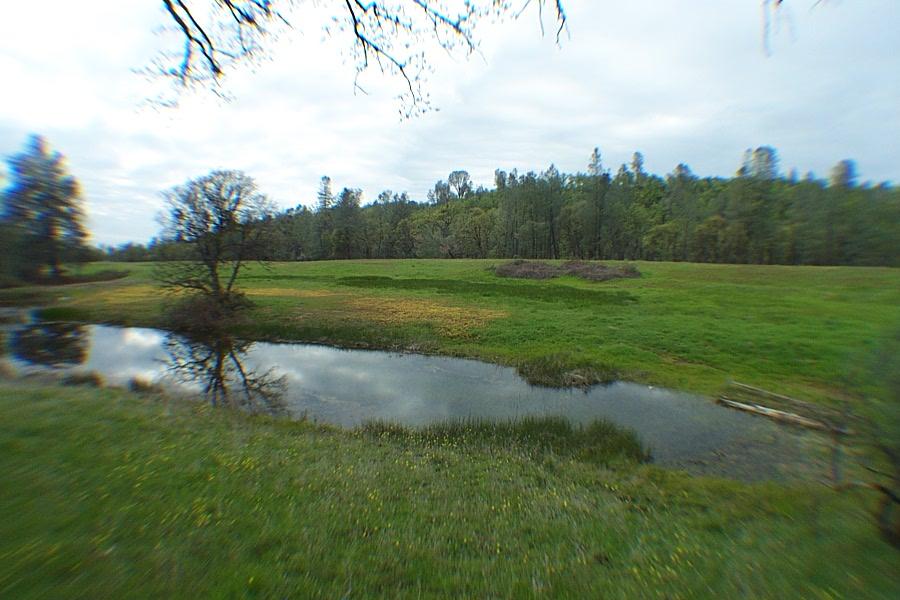29464 Big Spring Road Whitmore, CA 96096 - Photo 8 of 36 seasonal pond