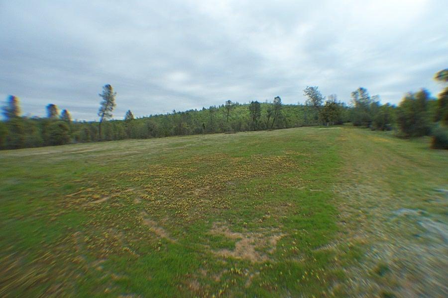 29464 Big Spring Road Whitmore, CA 96096 - Photo 10 of 36 field