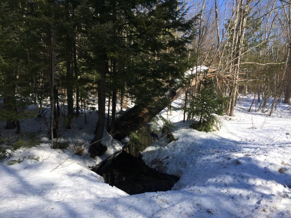 215 Haley Road Hollis Center, ME 04042 - Photo 19 of 19 Brook to right of home