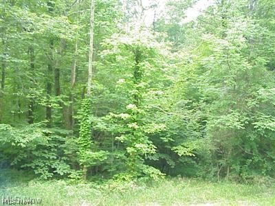 Laurel Road West Salem, OH 44287 - Photo 3 of 3 View of nature