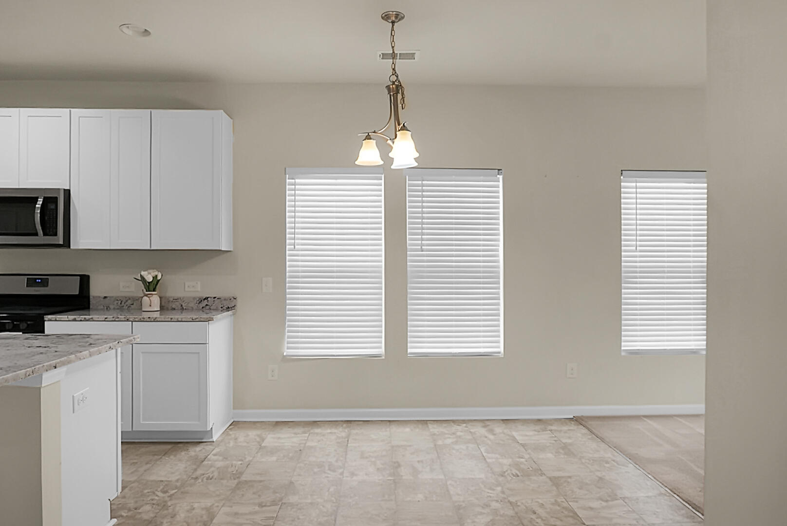 102 Chaste Tree Circle Goose Creek, SC 29445 - Photo 14 of 40 DSC07622