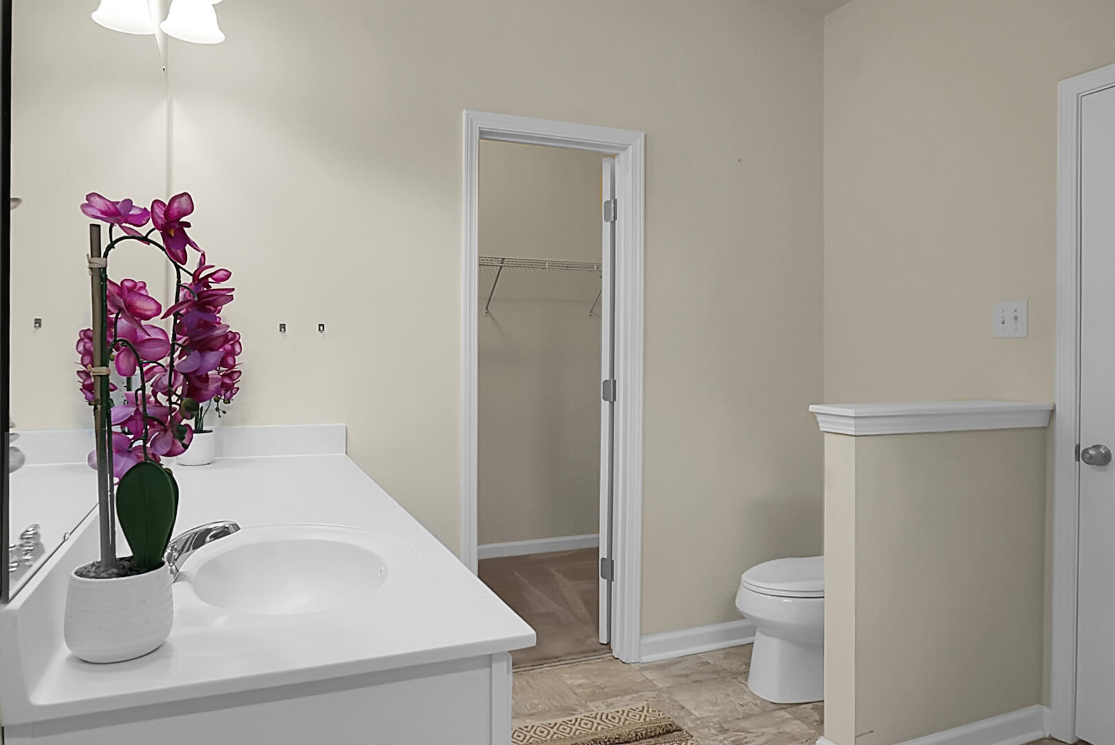 102 Chaste Tree Circle Goose Creek, SC 29445 - Photo 22 of 40 DSC07673