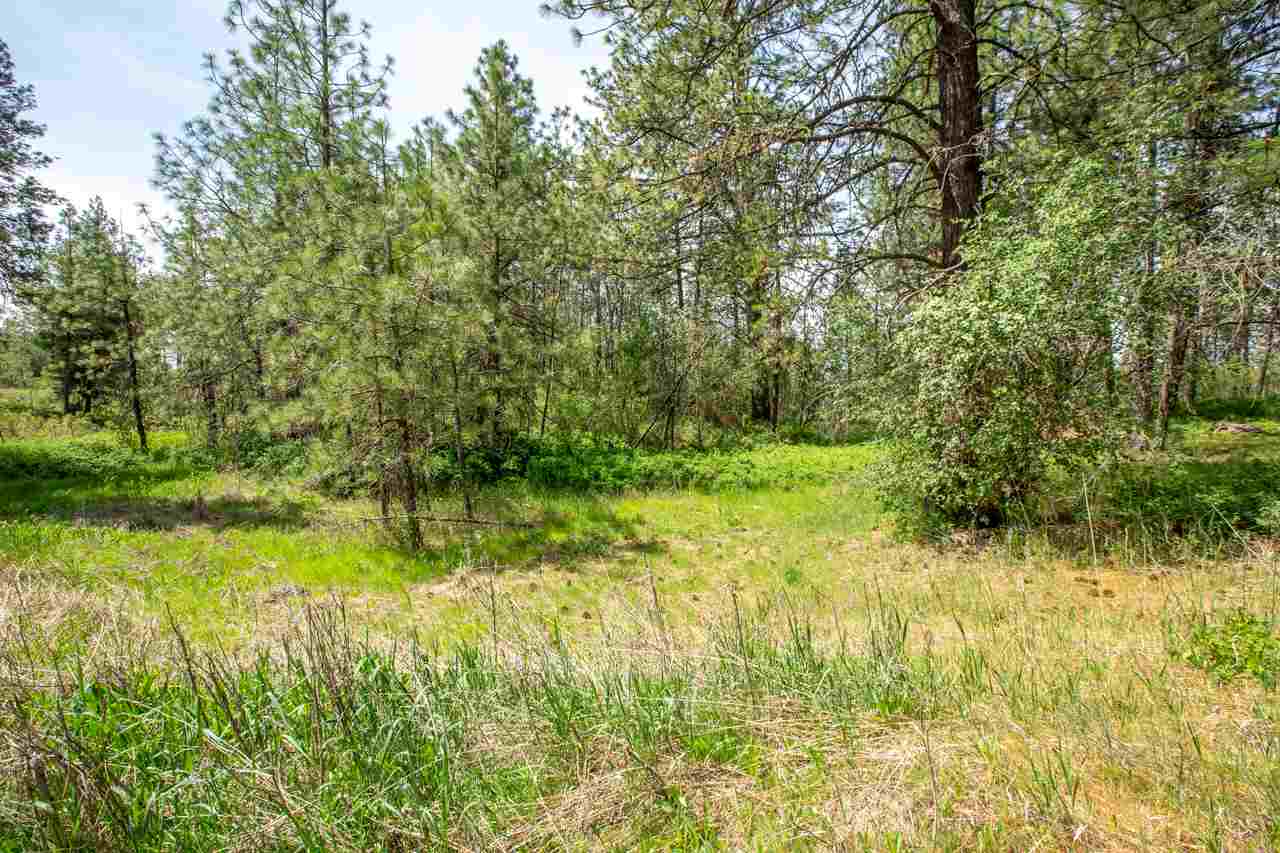 12424 South Scribner Road Cheney, WA 99004 - Photo 17 of 20
