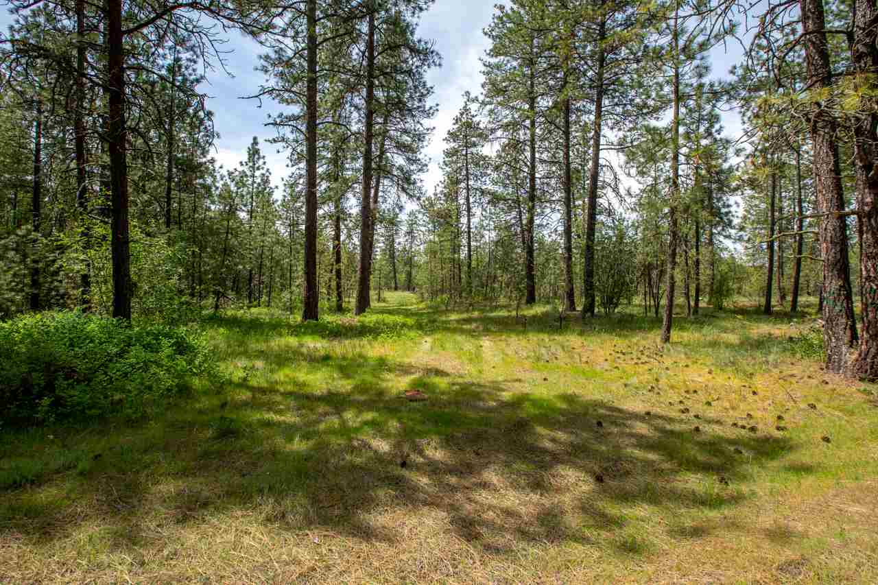 12424 South Scribner Road Cheney, WA 99004 - Photo 18 of 20