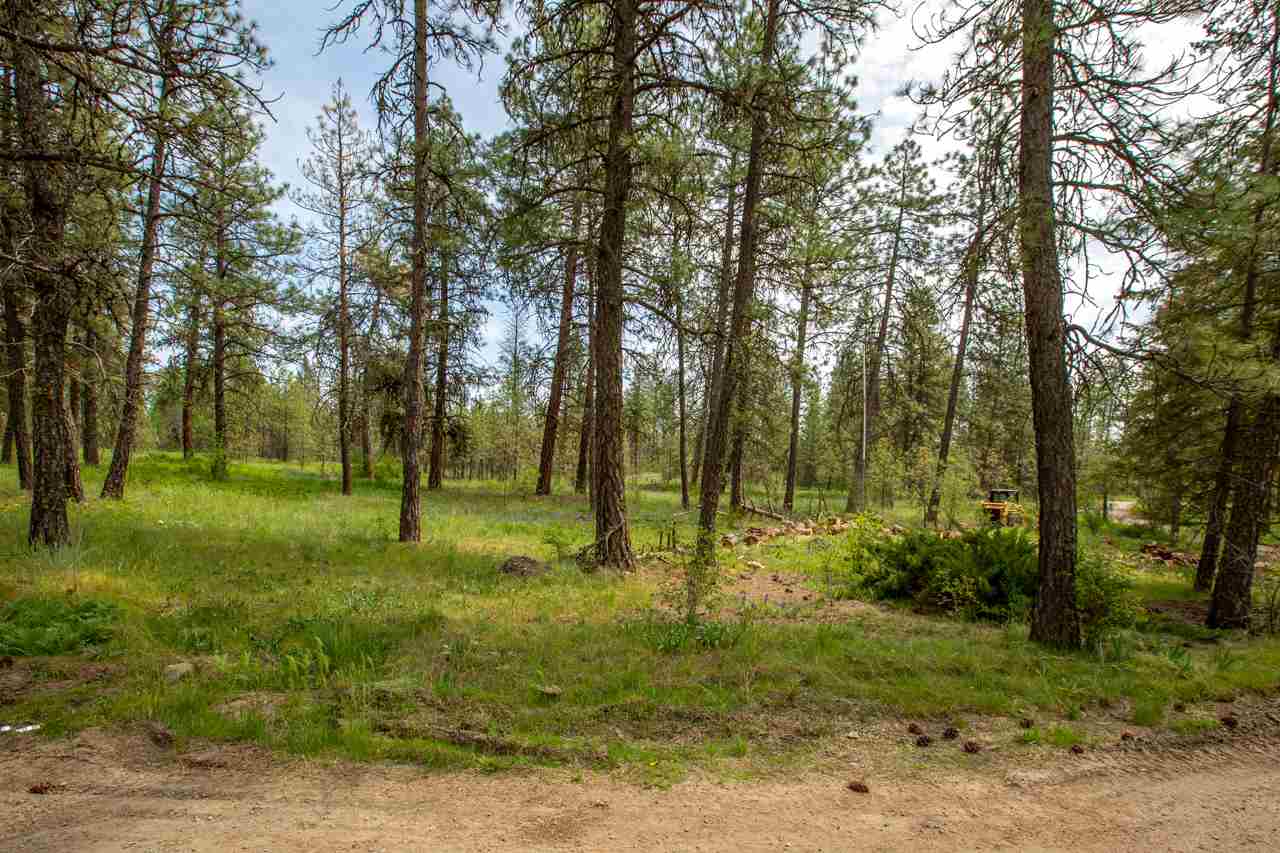 12424 South Scribner Road Cheney, WA 99004 - Photo 19 of 20