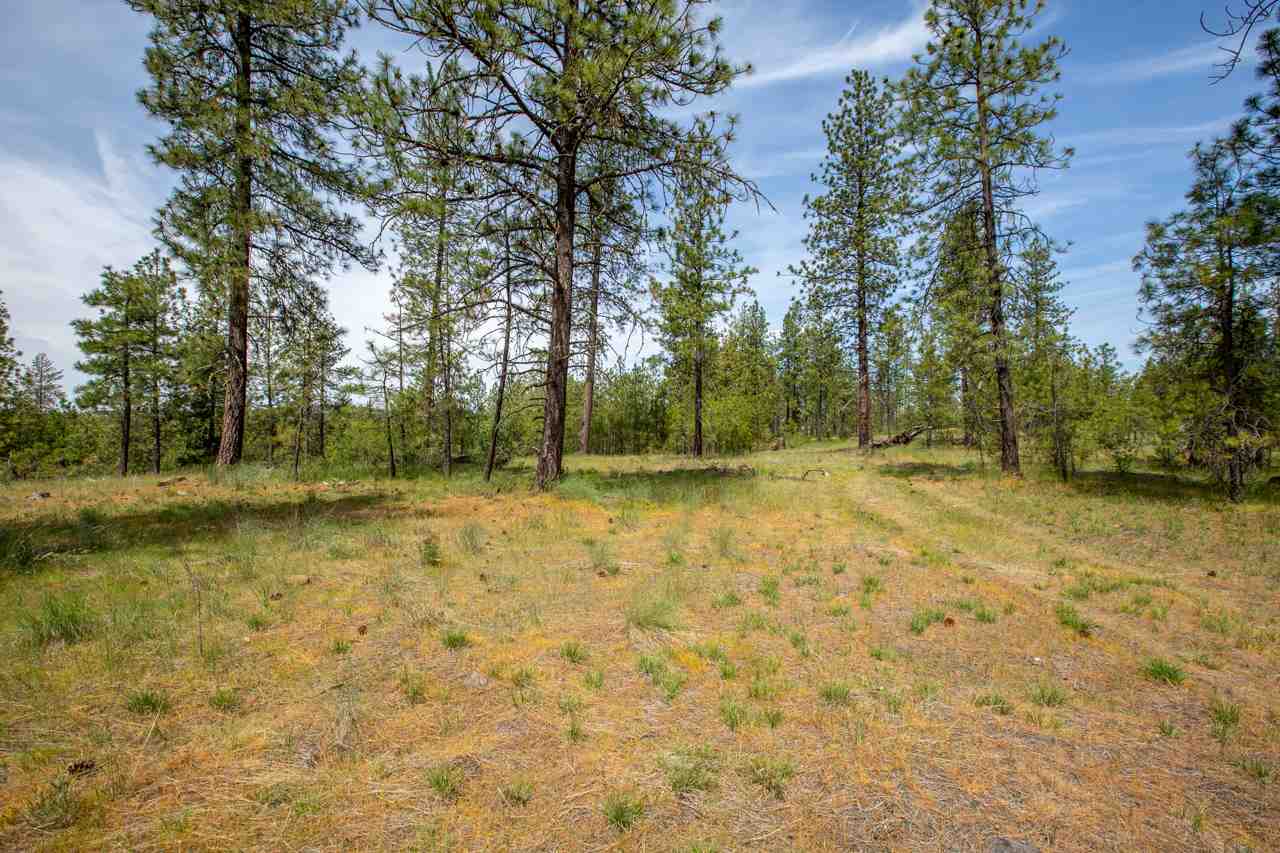 12424 South Scribner Road Cheney, WA 99004 - Photo 20 of 20