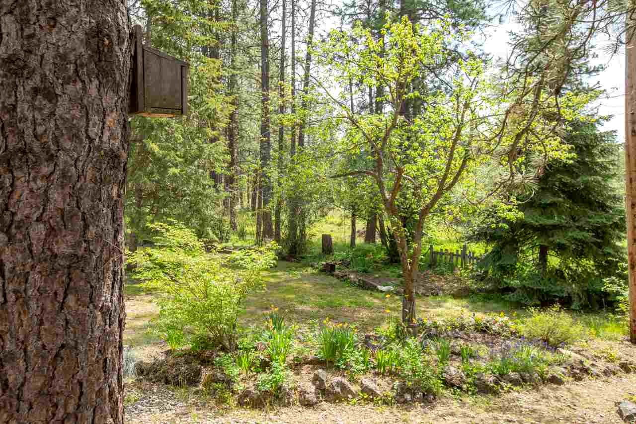 12424 South Scribner Road Cheney, WA 99004 - Photo 3 of 20